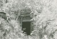 Pozůstatek partyzánského bunkru, kde se Mikuláš ukrýval, asi 1946