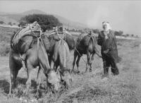 RNDr. Josef Chaloupský v arabském tradičním oděvu s velbloudy v Iráku