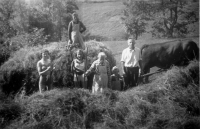 Alois a Terezie Zatloukalovi s dcerou Marií Stöhrovou a třemi vnučkami při zemědělských pracích v osadě Urlich. Konec čtyřicátých let.
