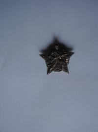 partyzánský odznak manžela Josefa Kopce