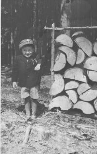 syn Boženy Kopcové, 1945