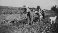 Rodina při práci na poli ve Štědrákově Lhotě