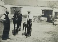 Father and grandfather on the family farm in Moravičany during the Second World War