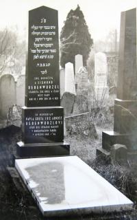 Hrob rodiny Rebenwurzelovy (Strážnice)