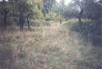 Místo, kde byla Prosička