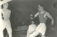 Box - J. Hradec vs Znojmo 14:2, 19.04.1958