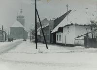 V popředí rodinné hospodářství v Bohuňovicích v roce 1945
