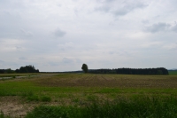 View from the part of the village V Chalupách towards the forest where people had hideouts in which they hid at night
