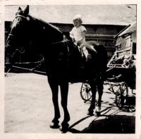 Josef Horký na koni