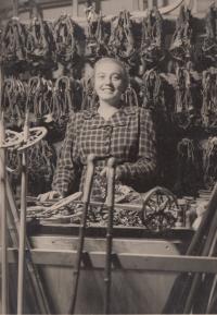 Anna Zdráhalová v obchodě v Puškinově ulici, 1938