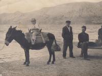 Baška Voda - syn Richard (1957)