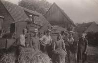 Čas žní na rodinném statku ve vesnici Vinná na Litoměřicku