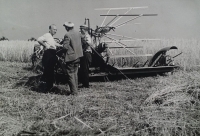 Břetislav Roubínek na poli po roce 1946