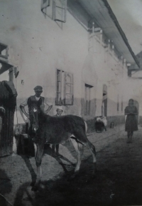 Dvůr statku č.p. 15