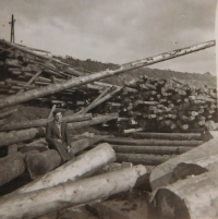 Josef Hocz at work at the sawmill in Jeseník