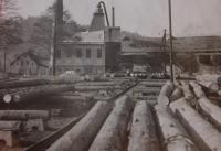 The sawmill in Jeseník, where Josef Hocz worked