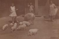 na dvorku, vpravo babička Žůrková, teta Máňa a její dcera Věrka