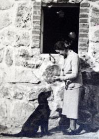 Mariina tchyně krmí opuštěného psa po odsunutých Němcích. Foto pořízené těsně po válce před jejich vilou v Železné Rudě, která jim byla v té době vrácena