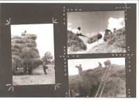 Rodina Netíků při žňových pracích