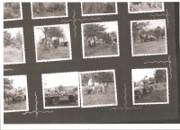 Žňové práce u Netíkových