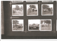 Žňové práce u Netíkových