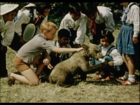 Film Malí medvědáři (1957), v němž hrají vietnamské děti z dětského domova: malí vietnamští pionýři přivezou českým pionýrům darem slůně. Na oplátku mají dostat medvídě Brumlu...
