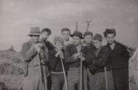 Chlapci z Gymnázia Jiřího Wolkera na brigádě v roce 1952