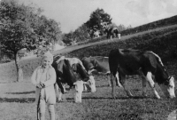 Zdenka Vévodová na poli / kolem roku 1942