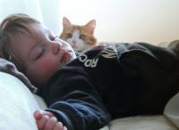 Jaroslavin vnuk Leonardo, Florencie, 2014-15