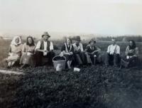 Pracovníci na poli v Borovníku