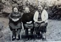 Tetičky z Borovníku