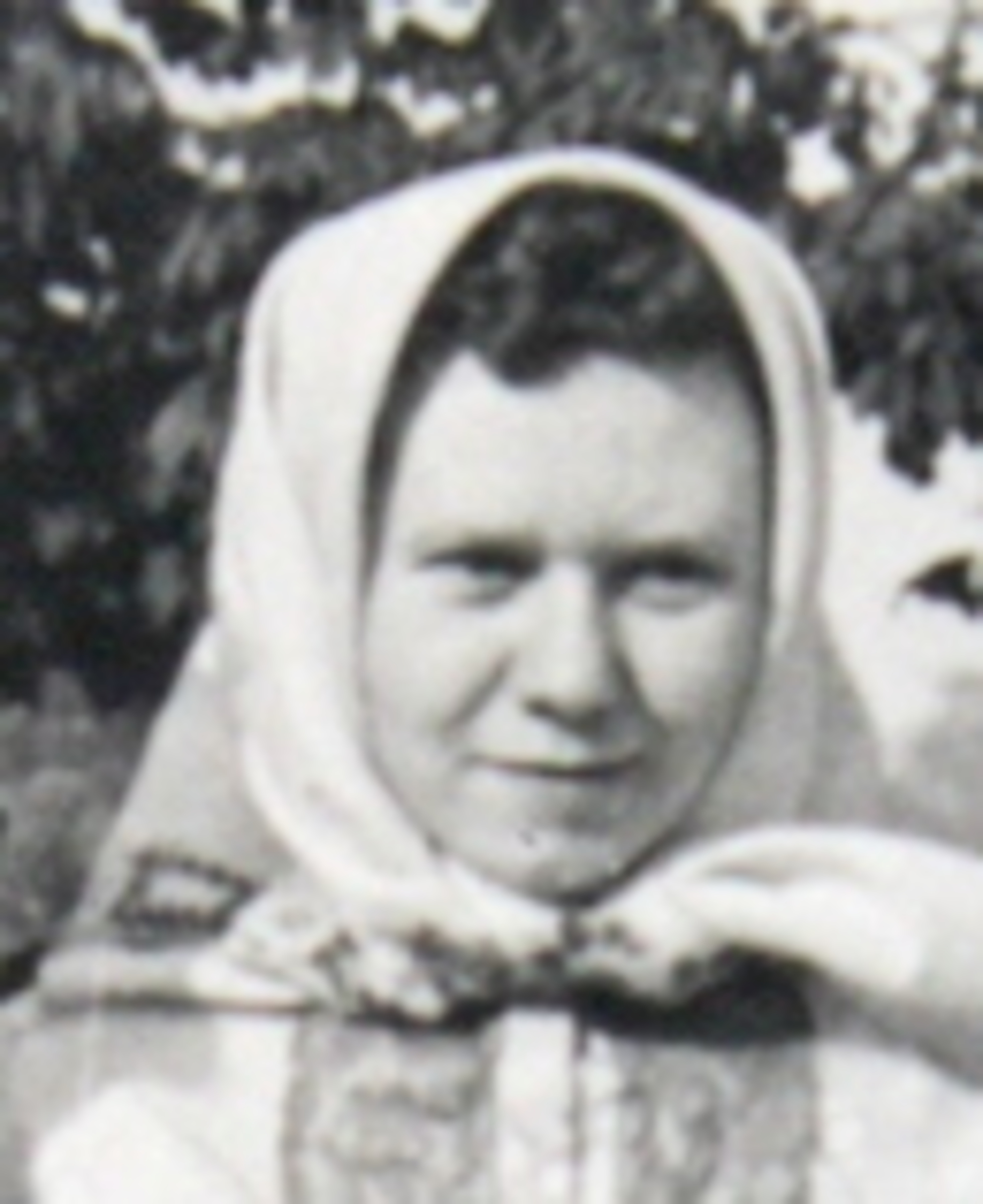 1954 - profil foto